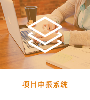 項目申報系統